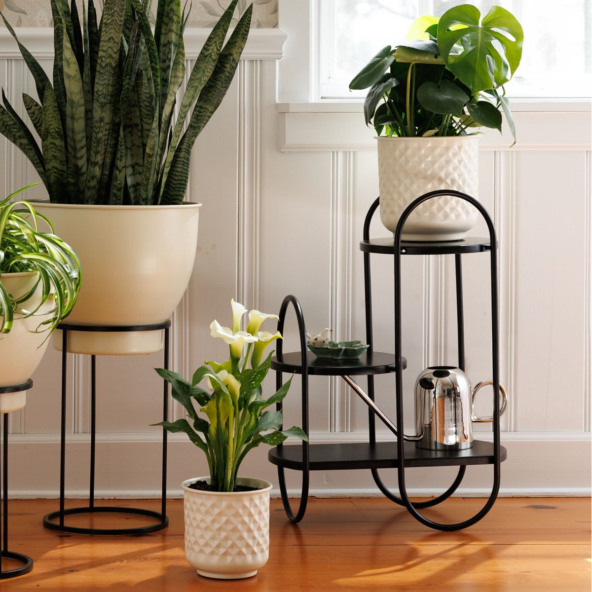 Ellipsa Plant Stand