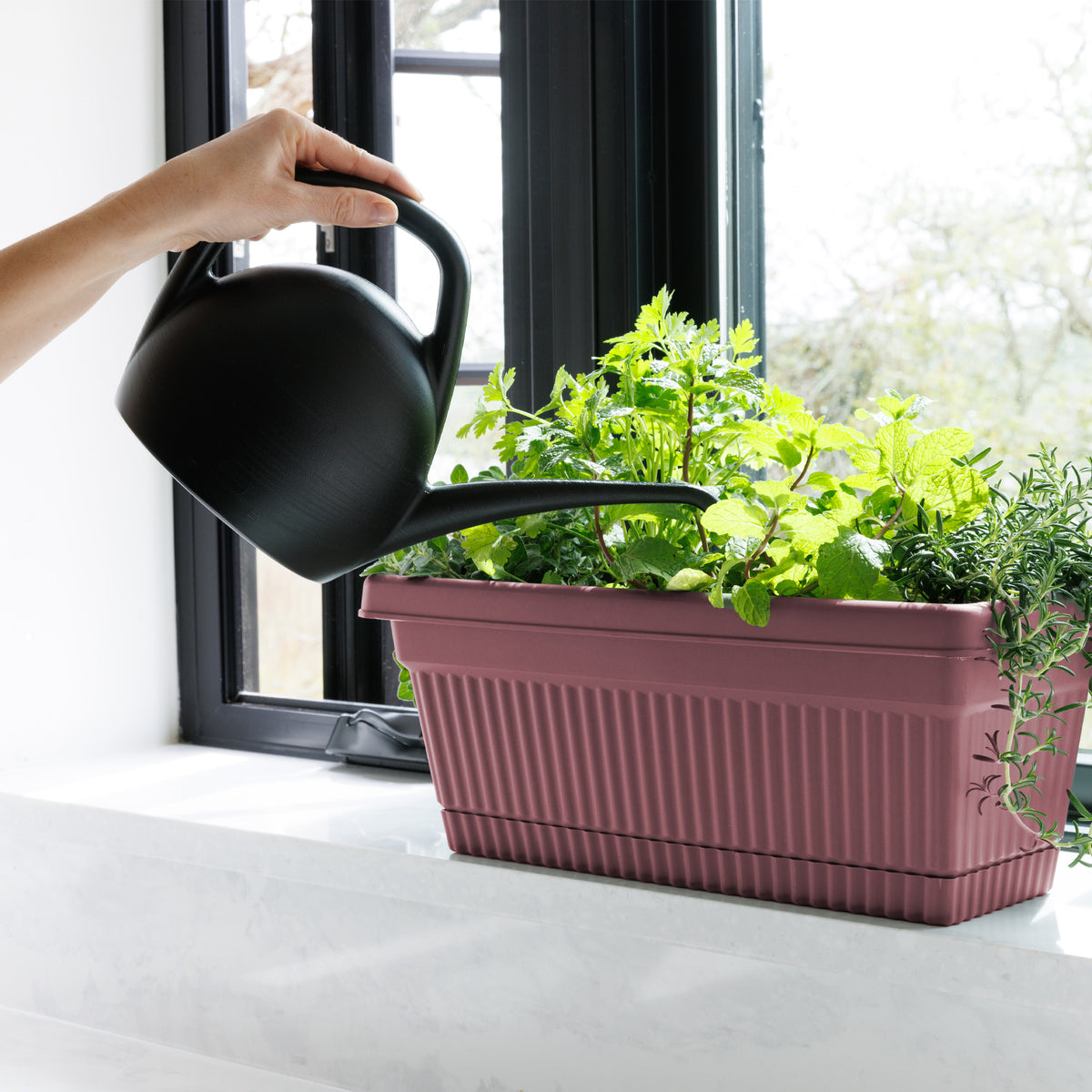 Canary Watering Can