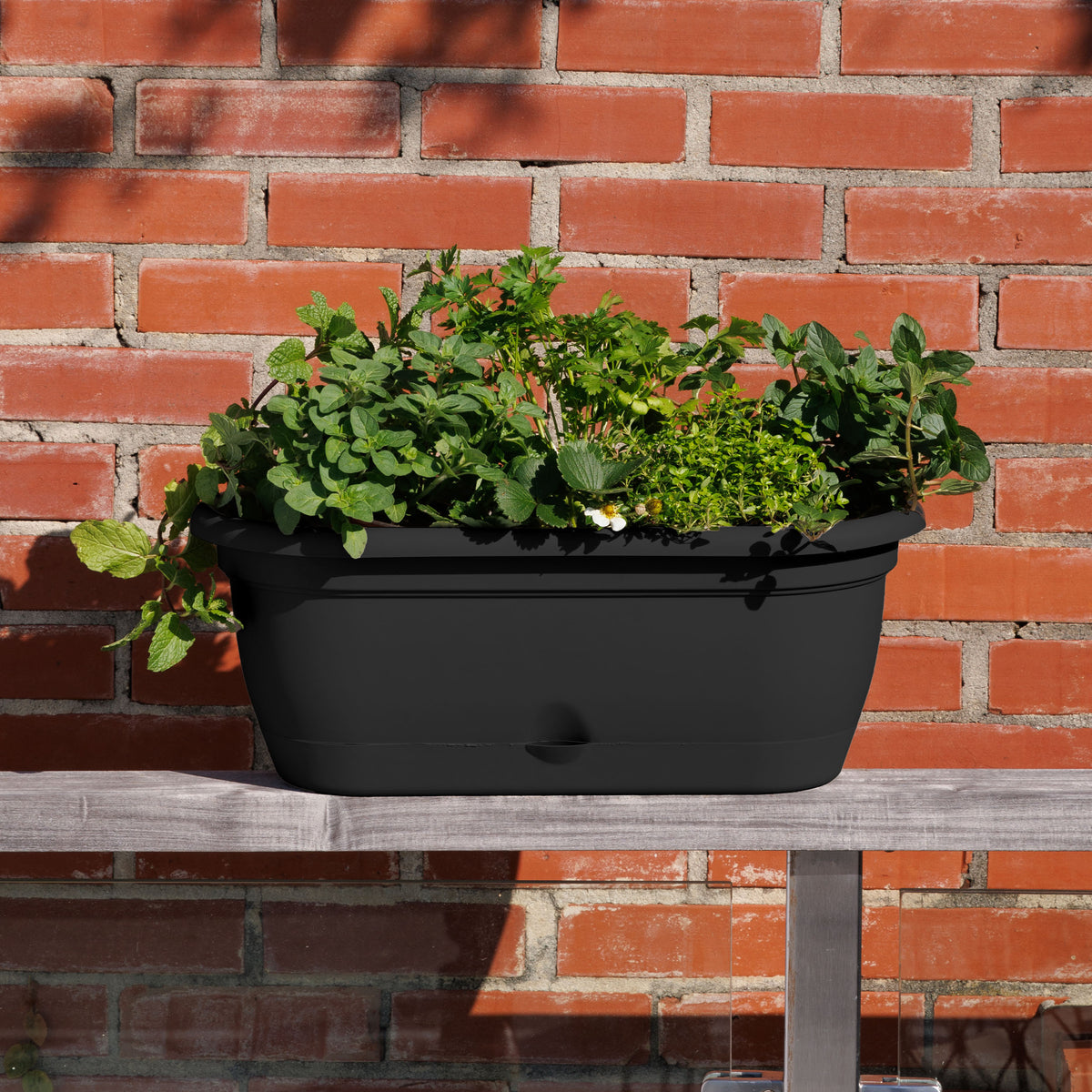 Lucca Window Box Planter