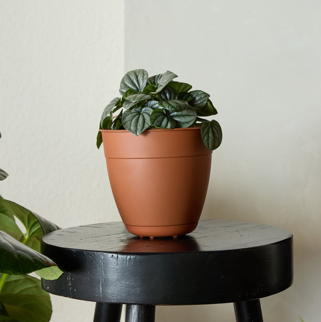 Dayton Planter