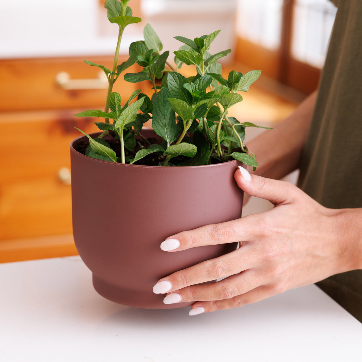 Enzo Planter