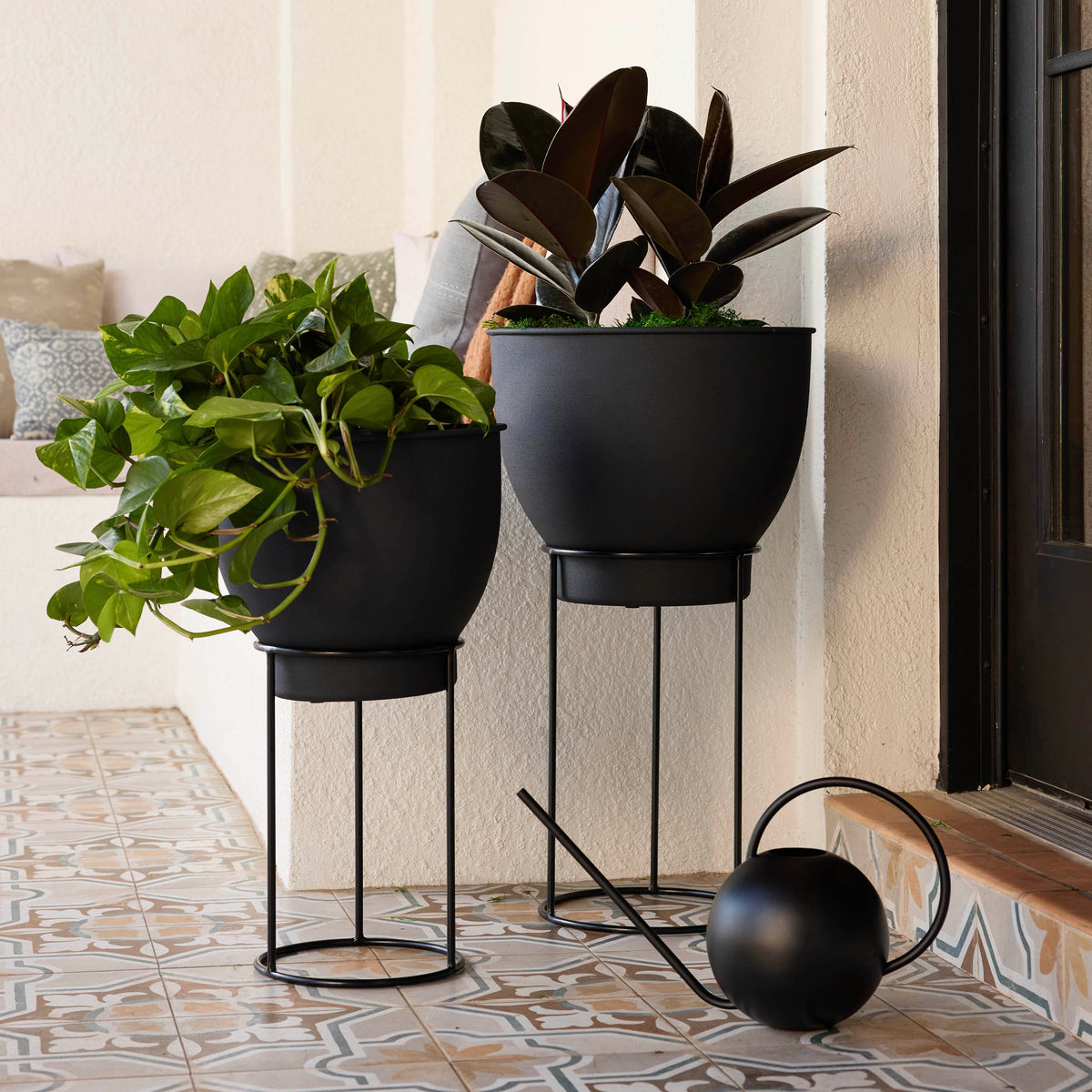 Fresca Watering Can