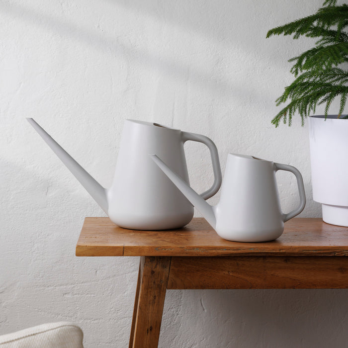 Fern Watering Can