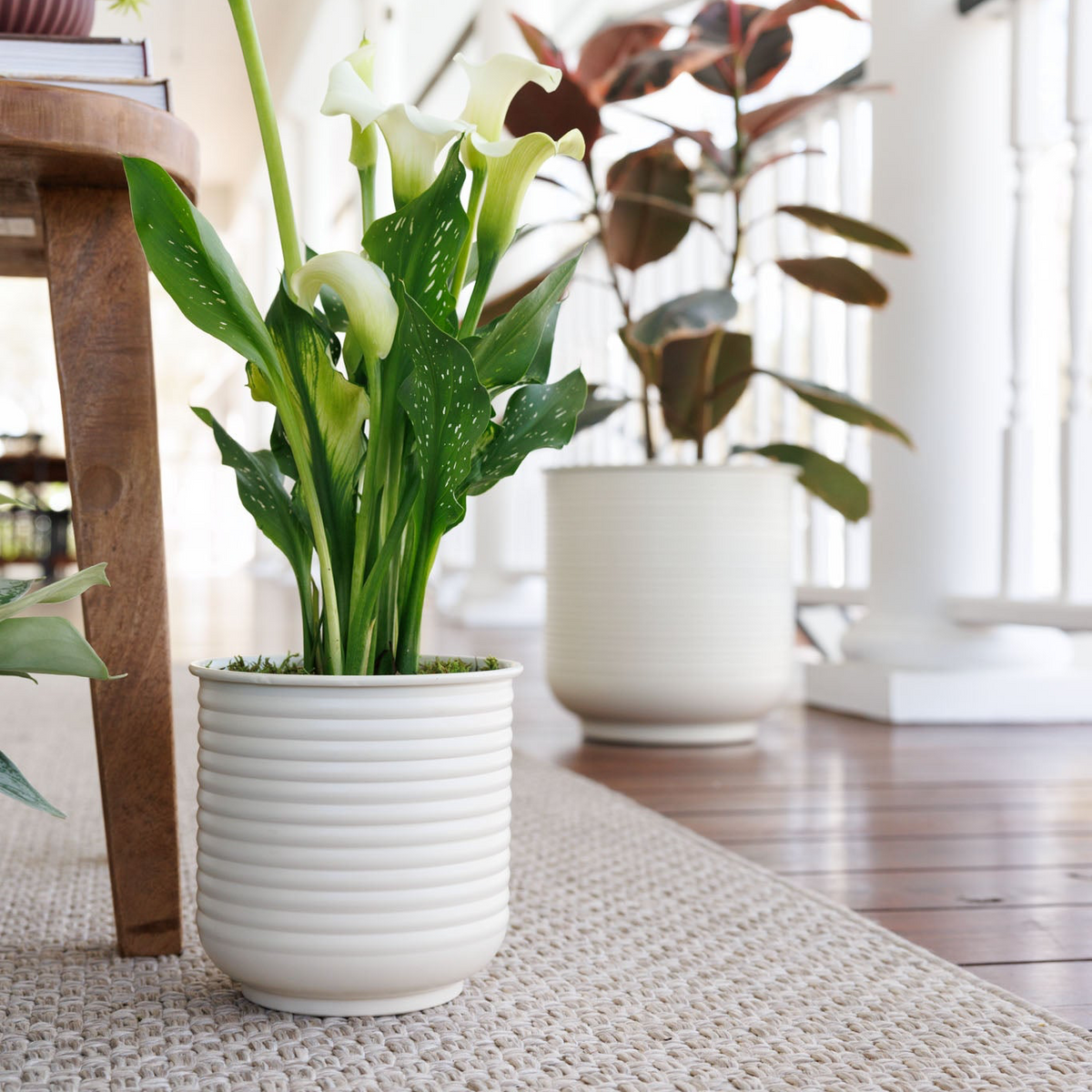 Grove Metal Planter Collection