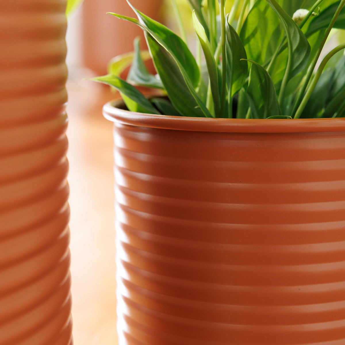 Grove Metal Planter Collection