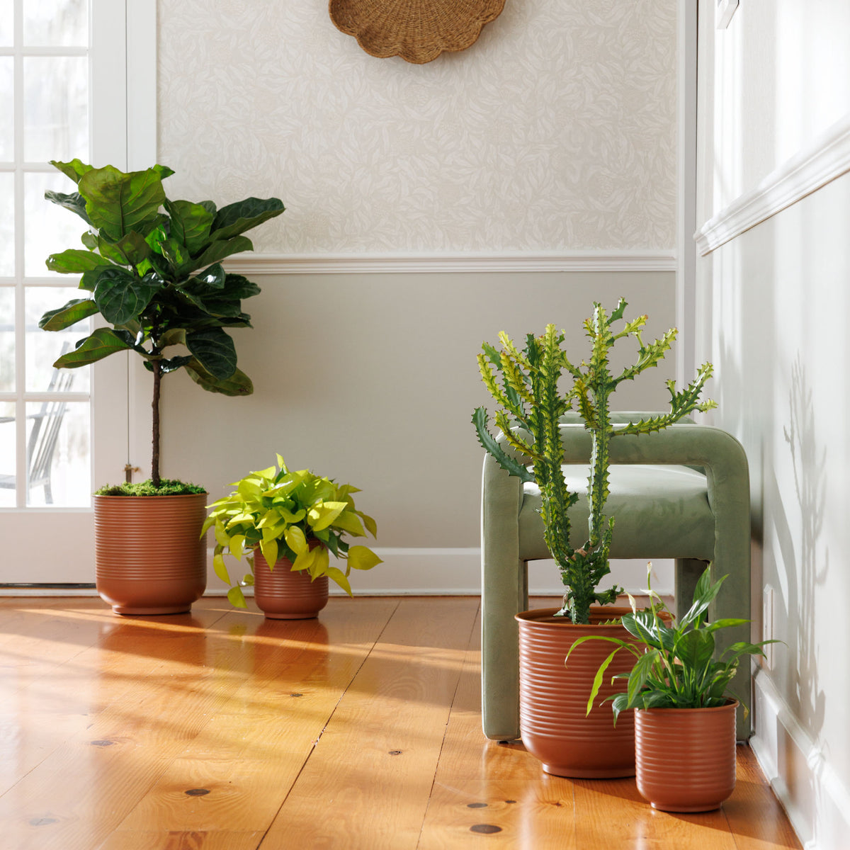 Grove Metal Planter Collection