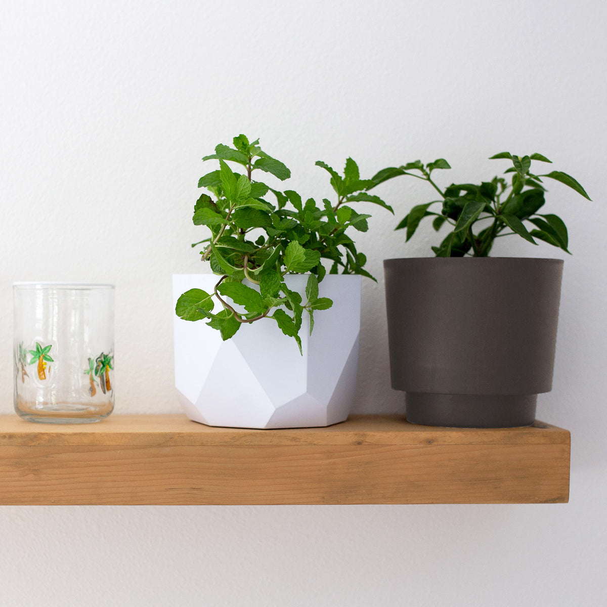 Harlow Planter