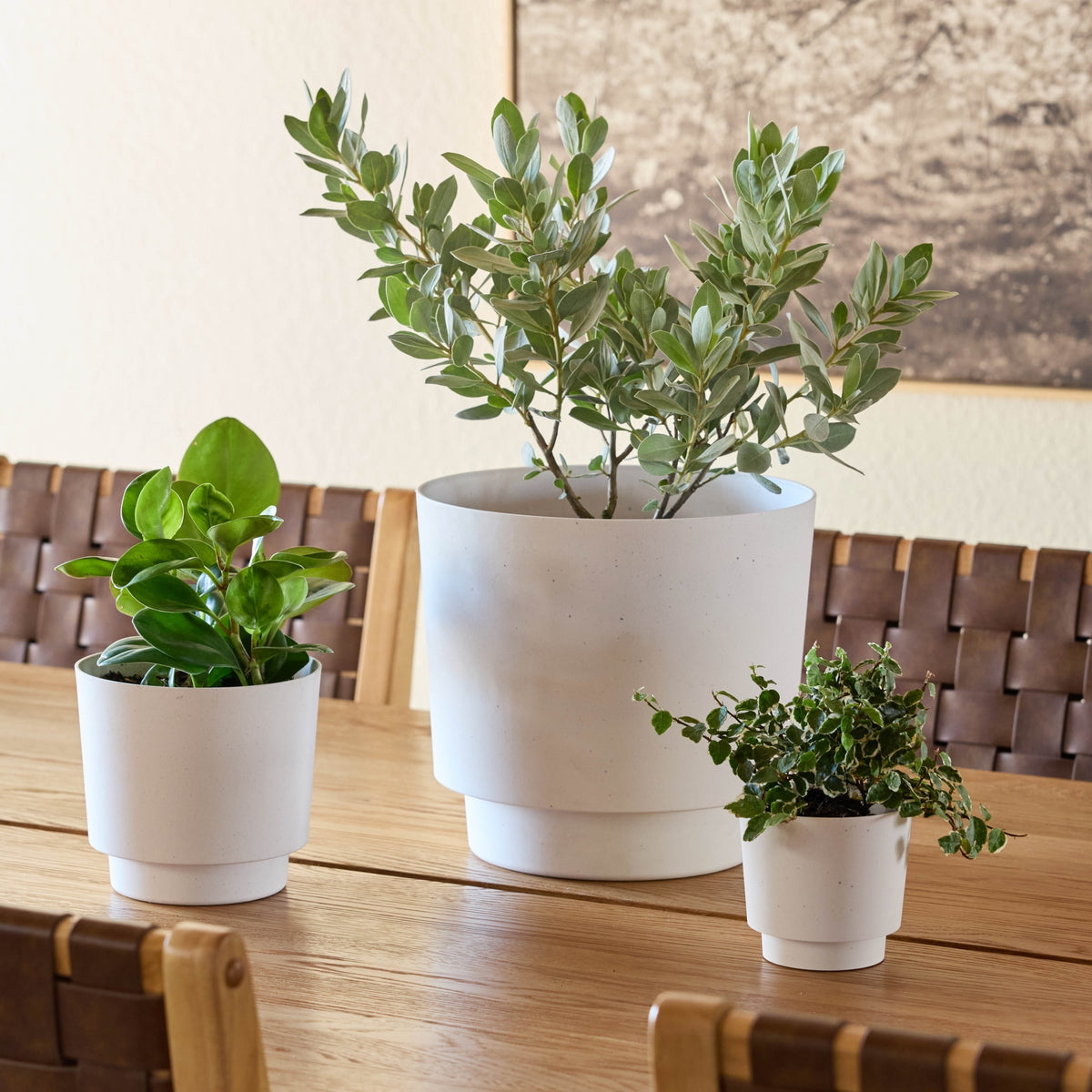 Harlow Planter