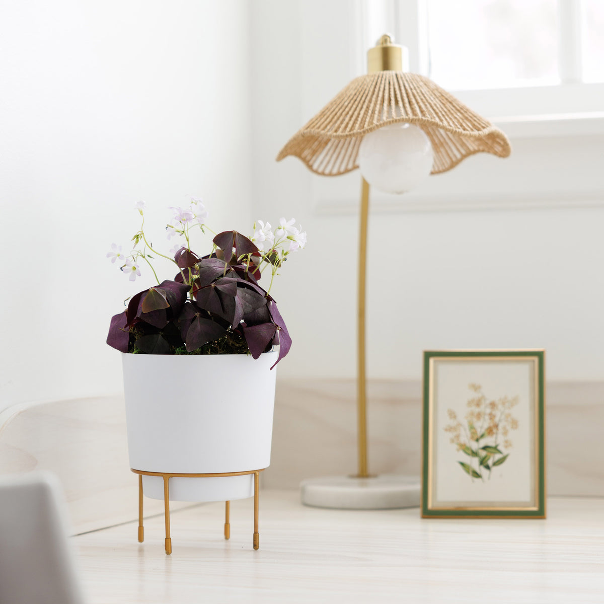 Hopson Planter with Metal Stand