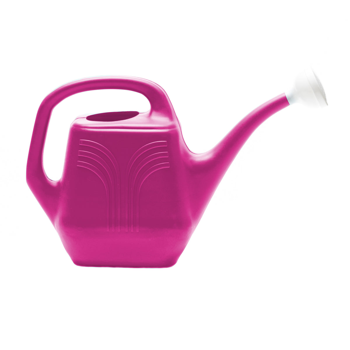 Classic 2 Gallon Watering Can