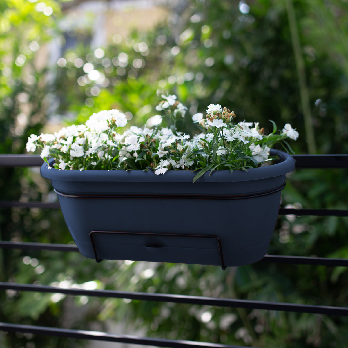Lucca Balcony Box Planter