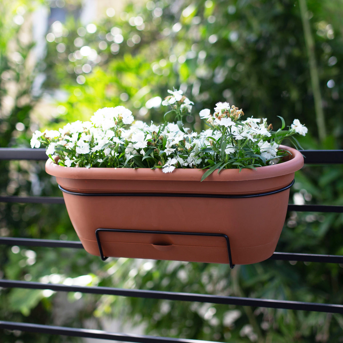 Lucca Balcony Box Planter