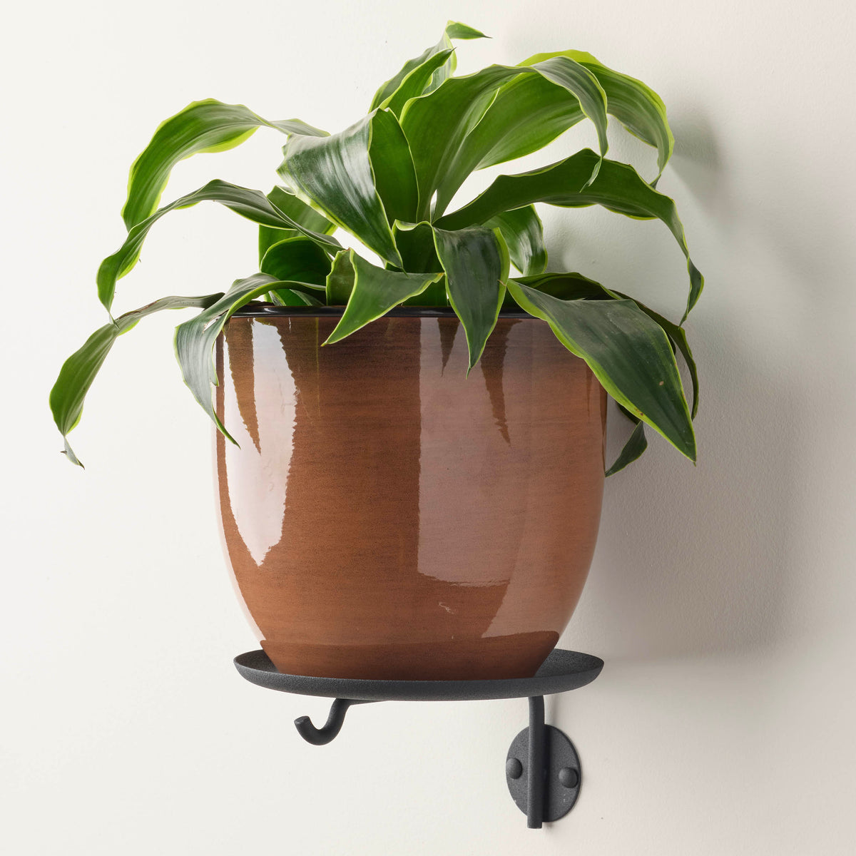 Lily Plant Shelf
