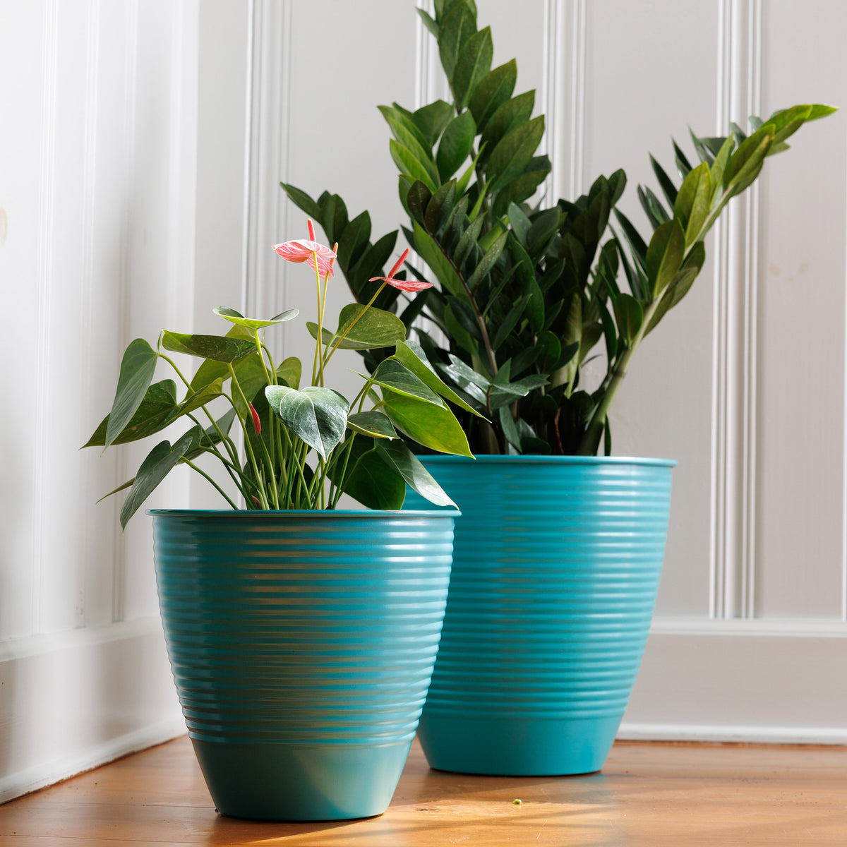 Nova Planter