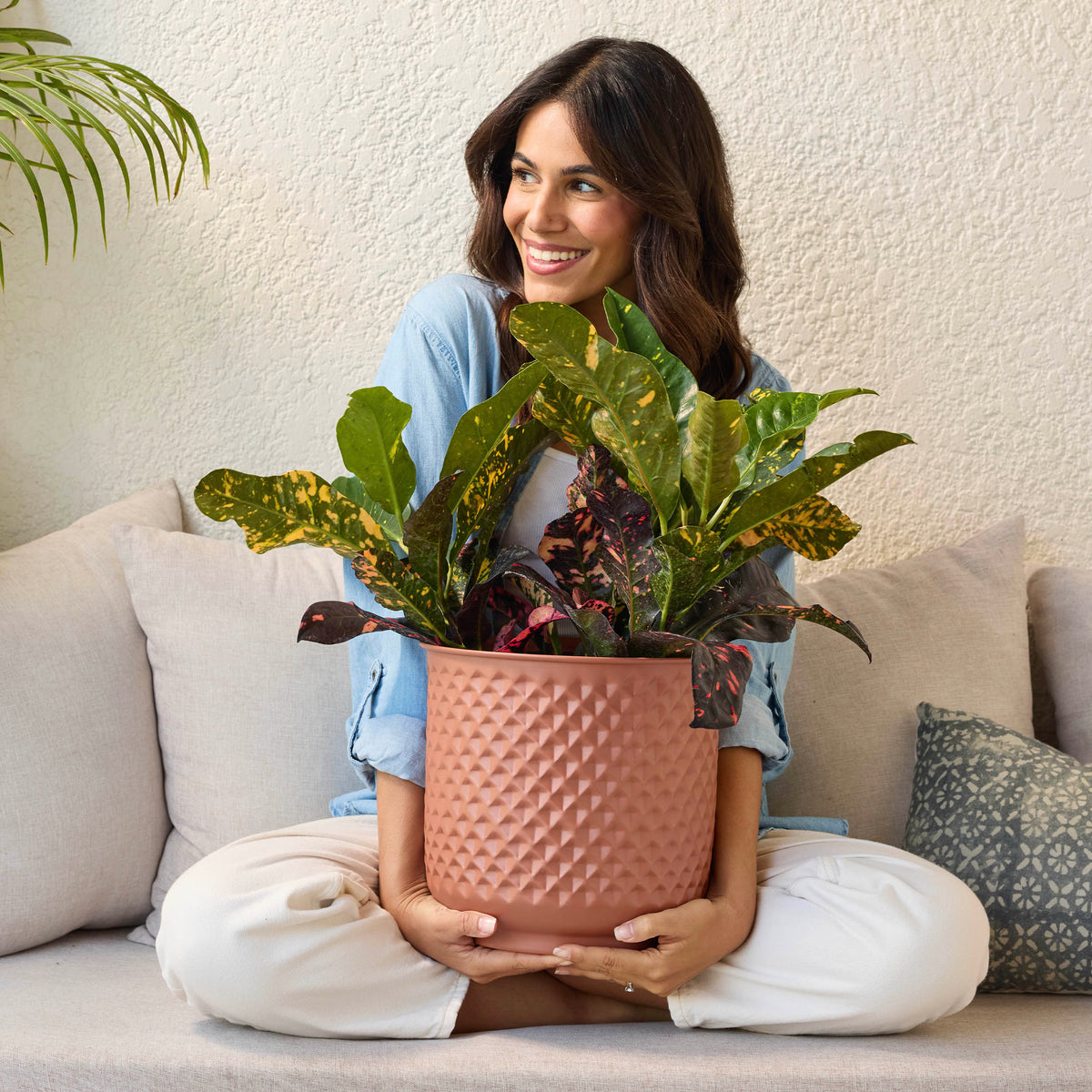 Prism Metal Planter Collection