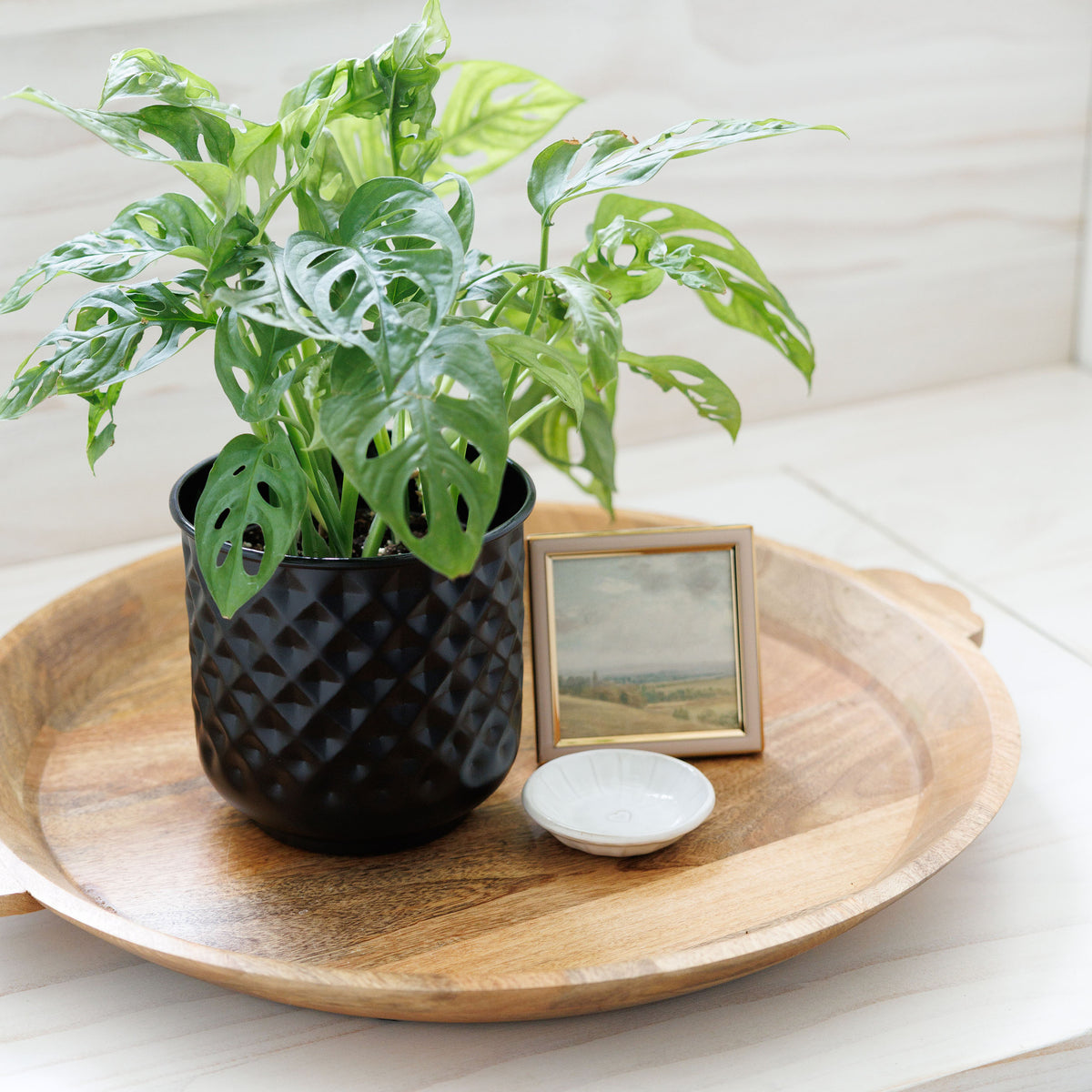 Prism Metal Planter Collection