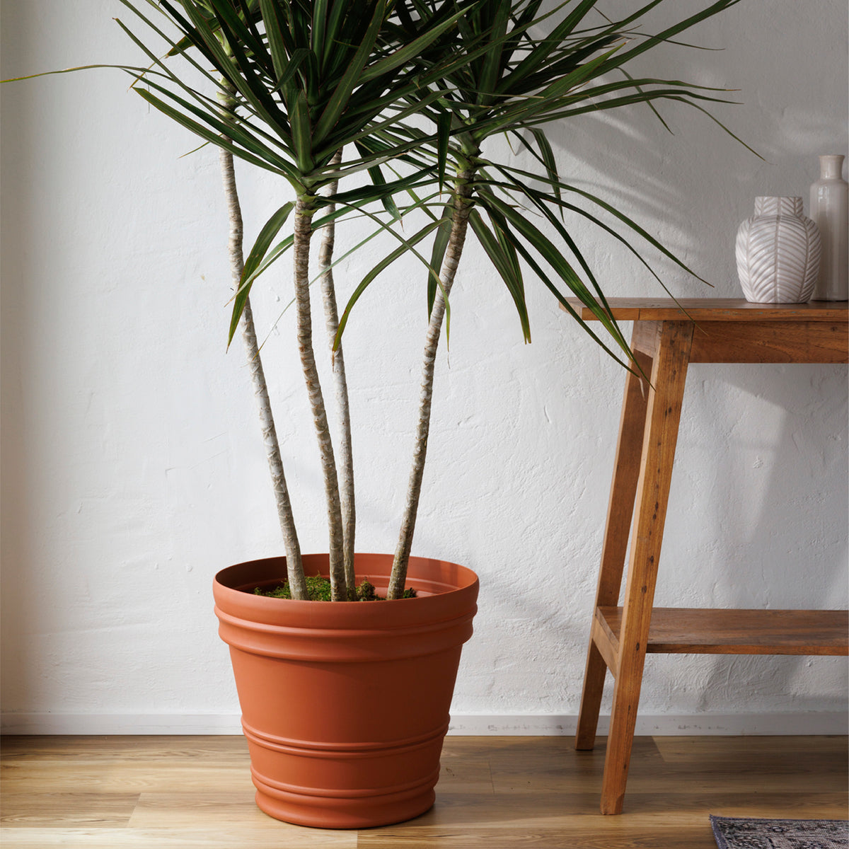 Rolled Rim Planter Pot