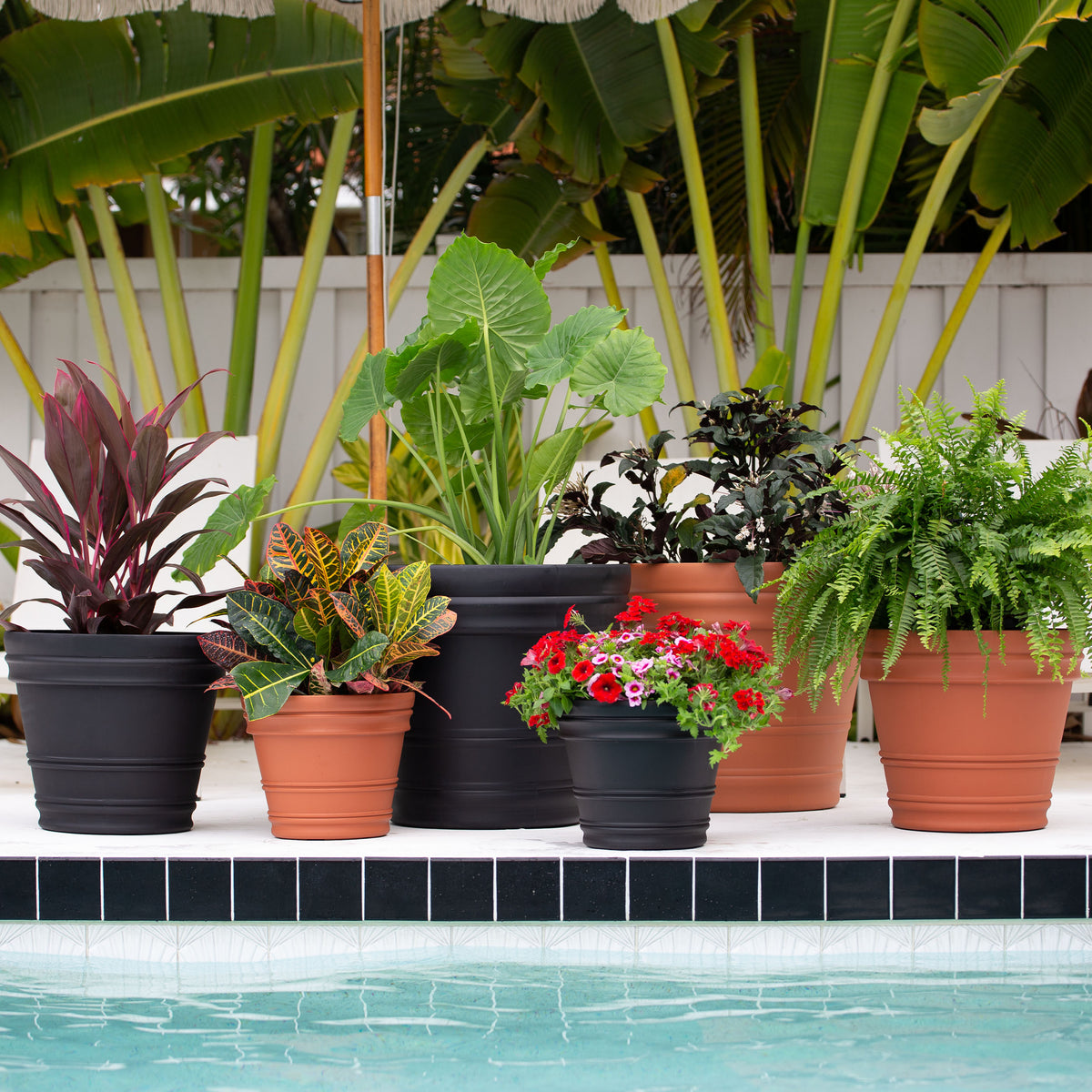 Rolled Rim Planter Pot