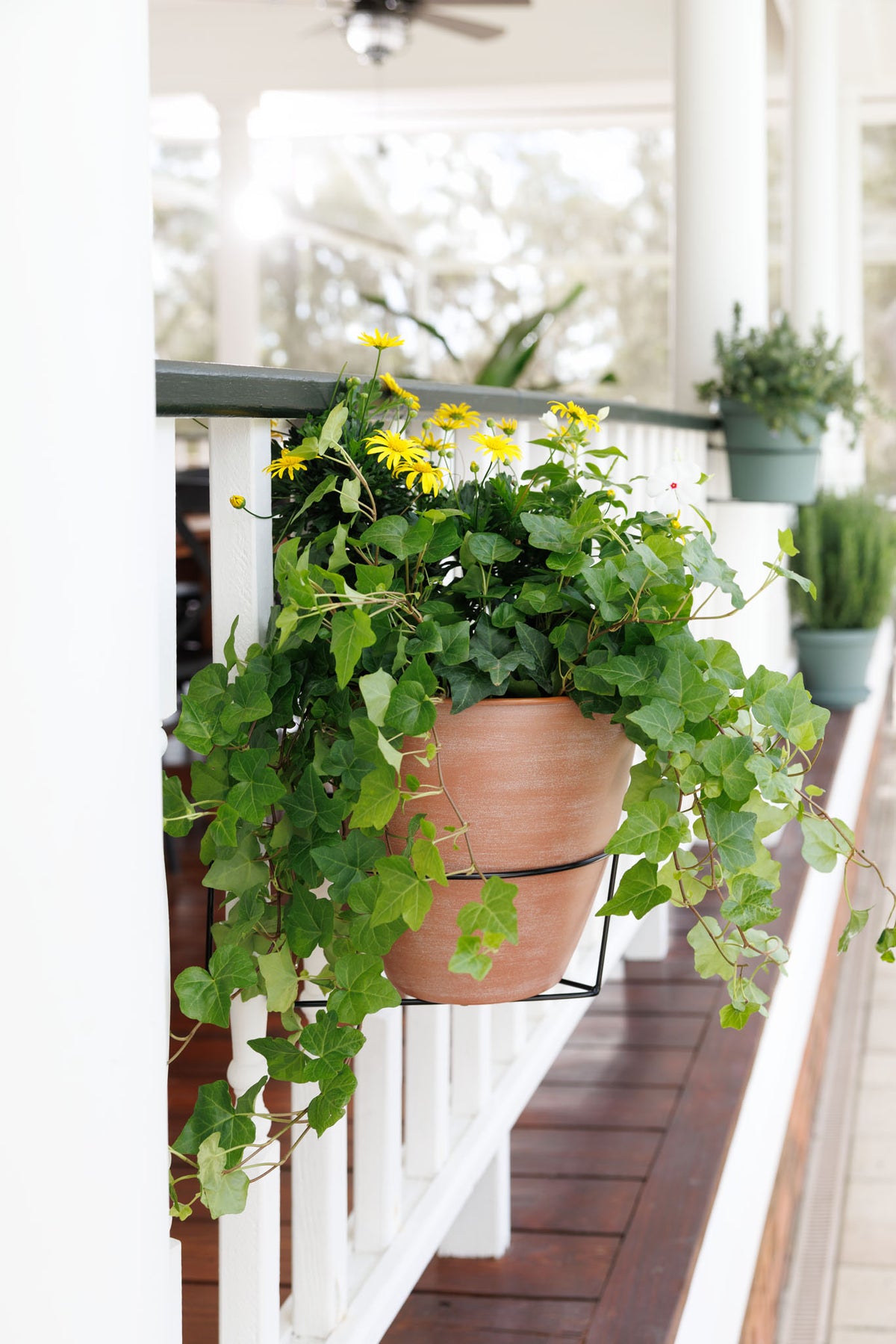 Deck, Railing & Hanging