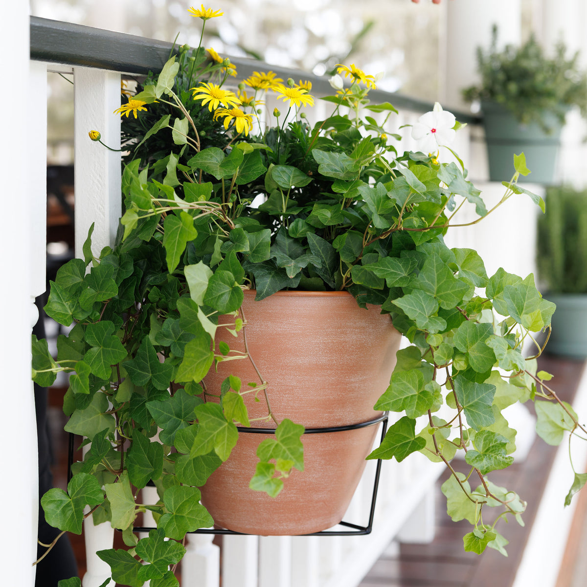 RailScapes Floating Garden Railing Planter Holder