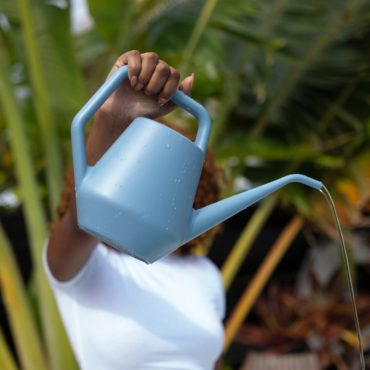 Sparrow Watering Can