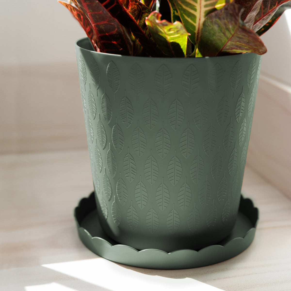 Scallop Decorative Saucer
