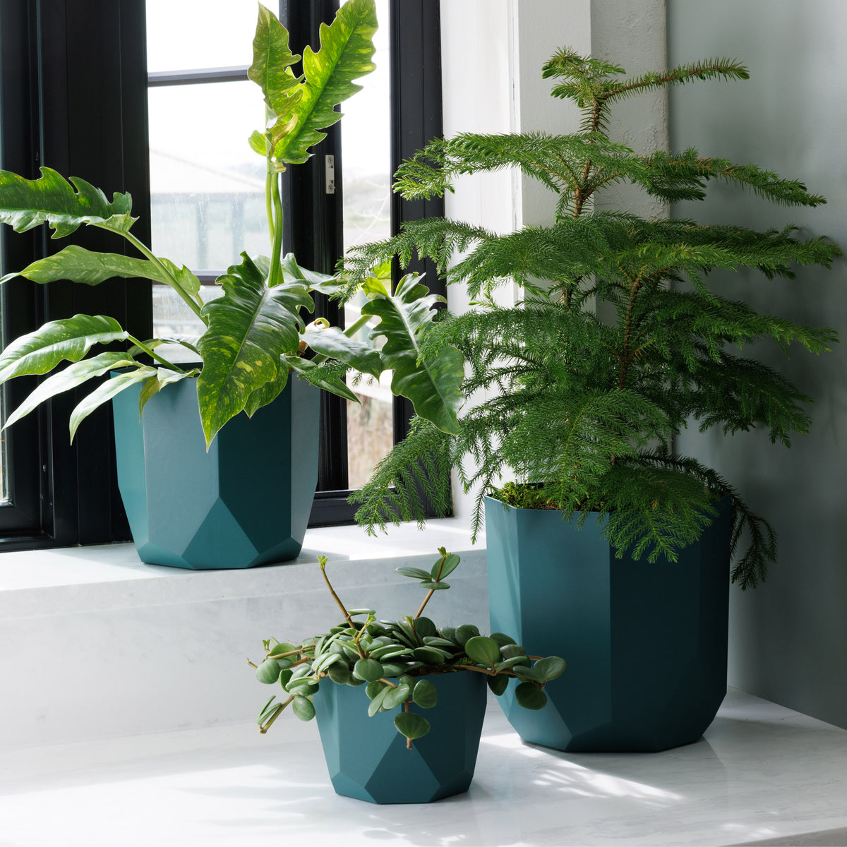 Tuxton Geometric Planter