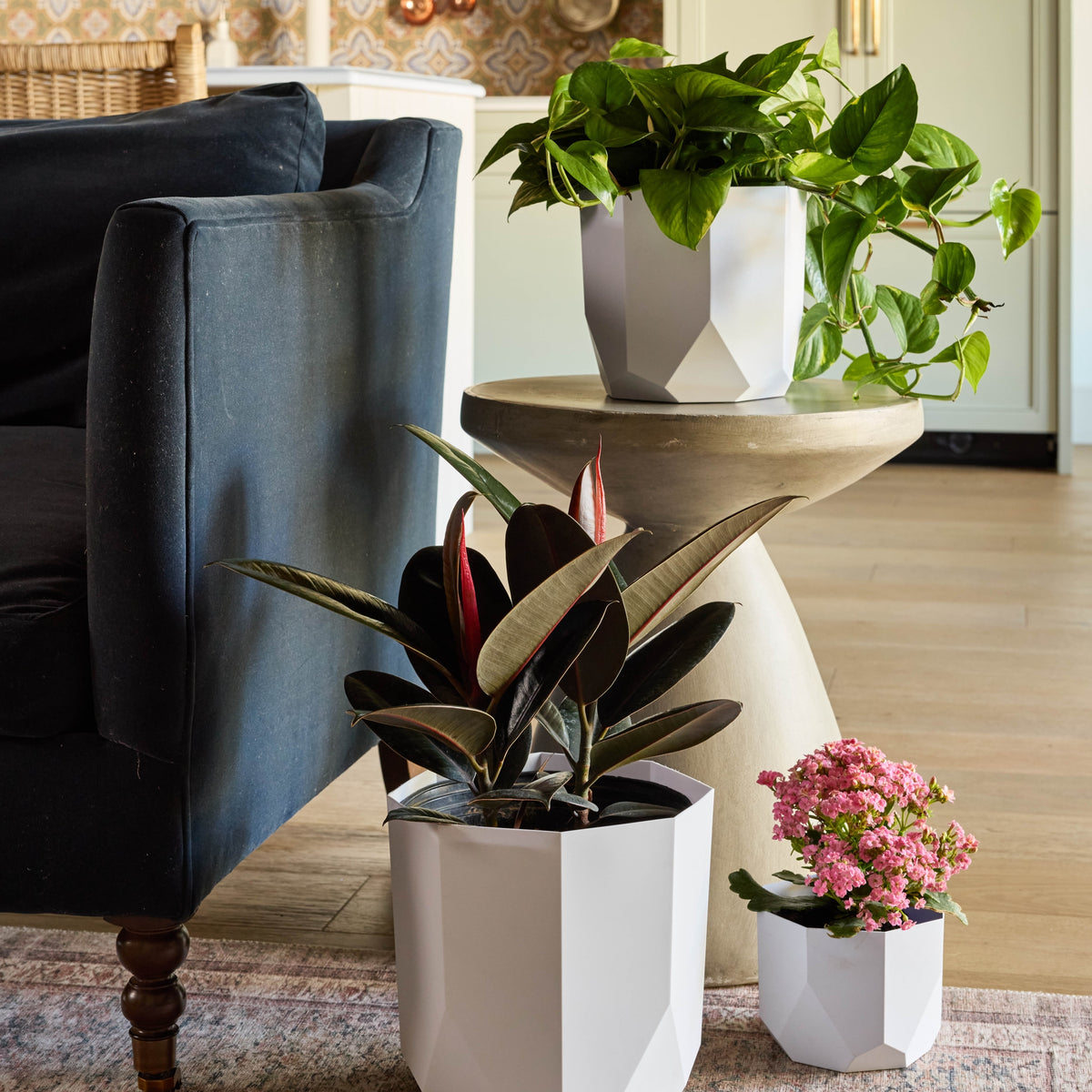 Tuxton Geometric Planter