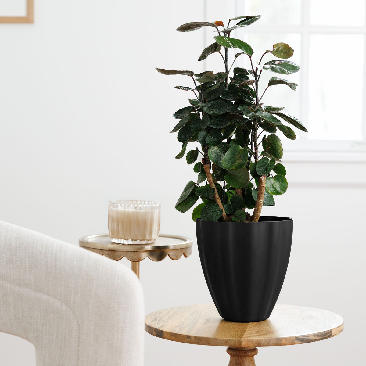 Vera Planter