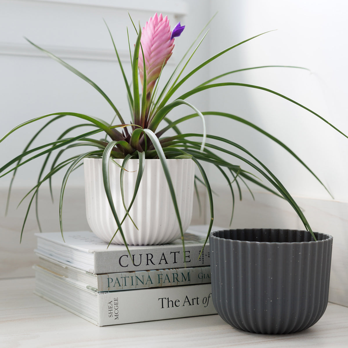 Wren Planter
