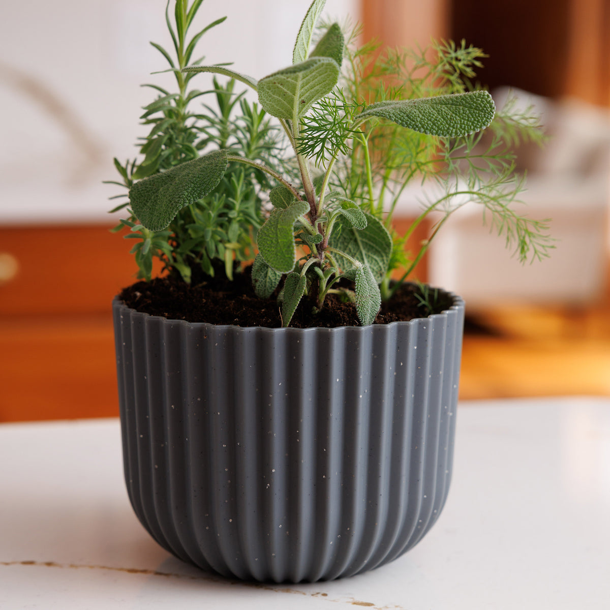 Wren Planter