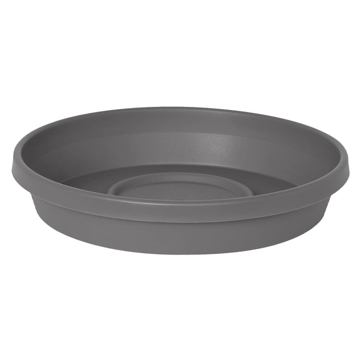 Terra Saucer