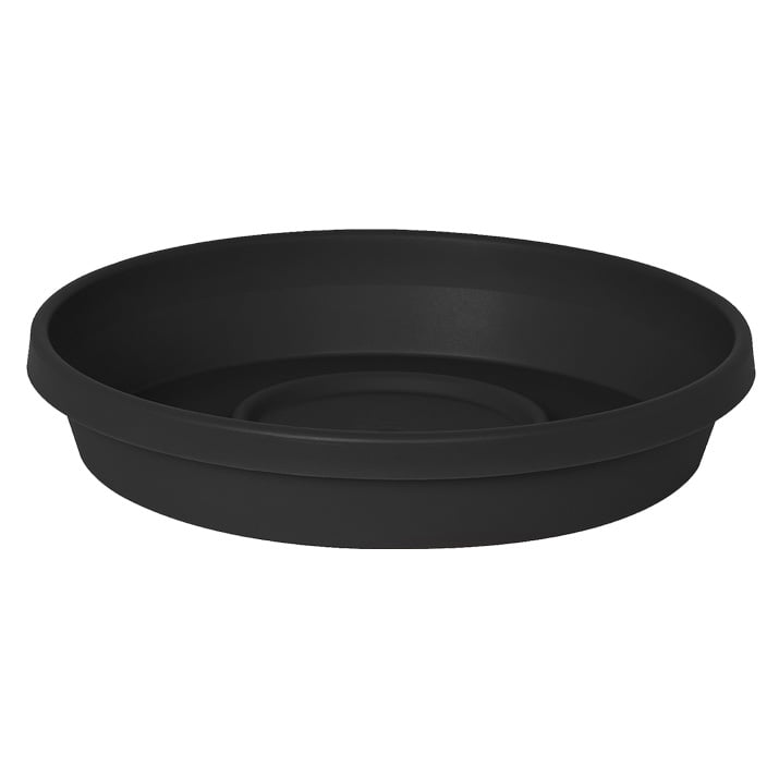 Terra Saucer