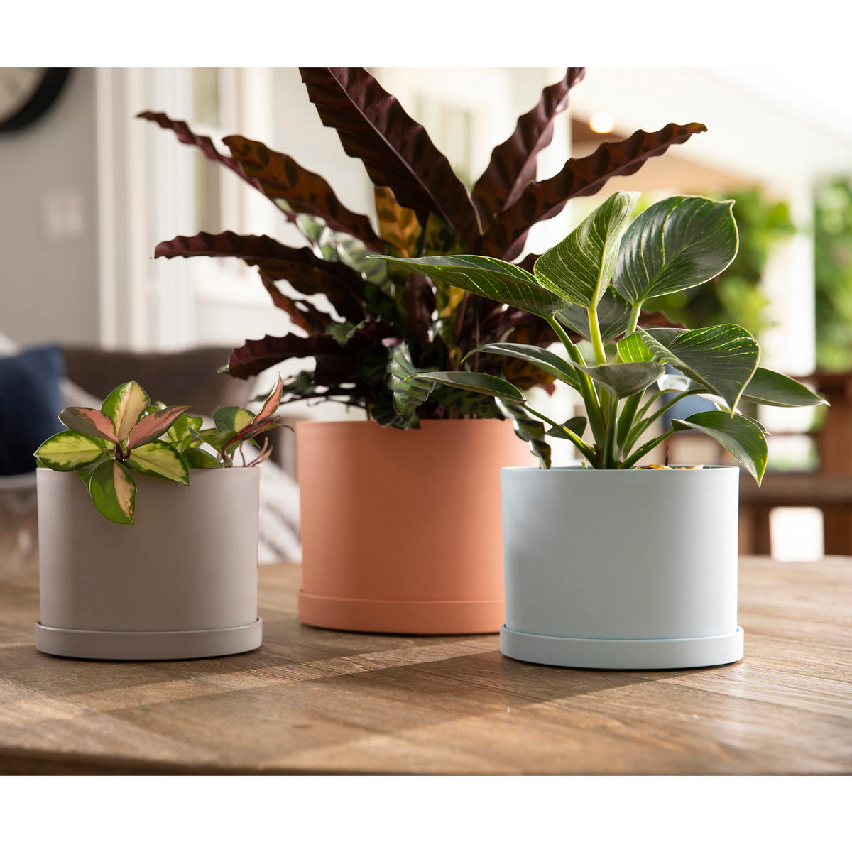 Mathers Planter