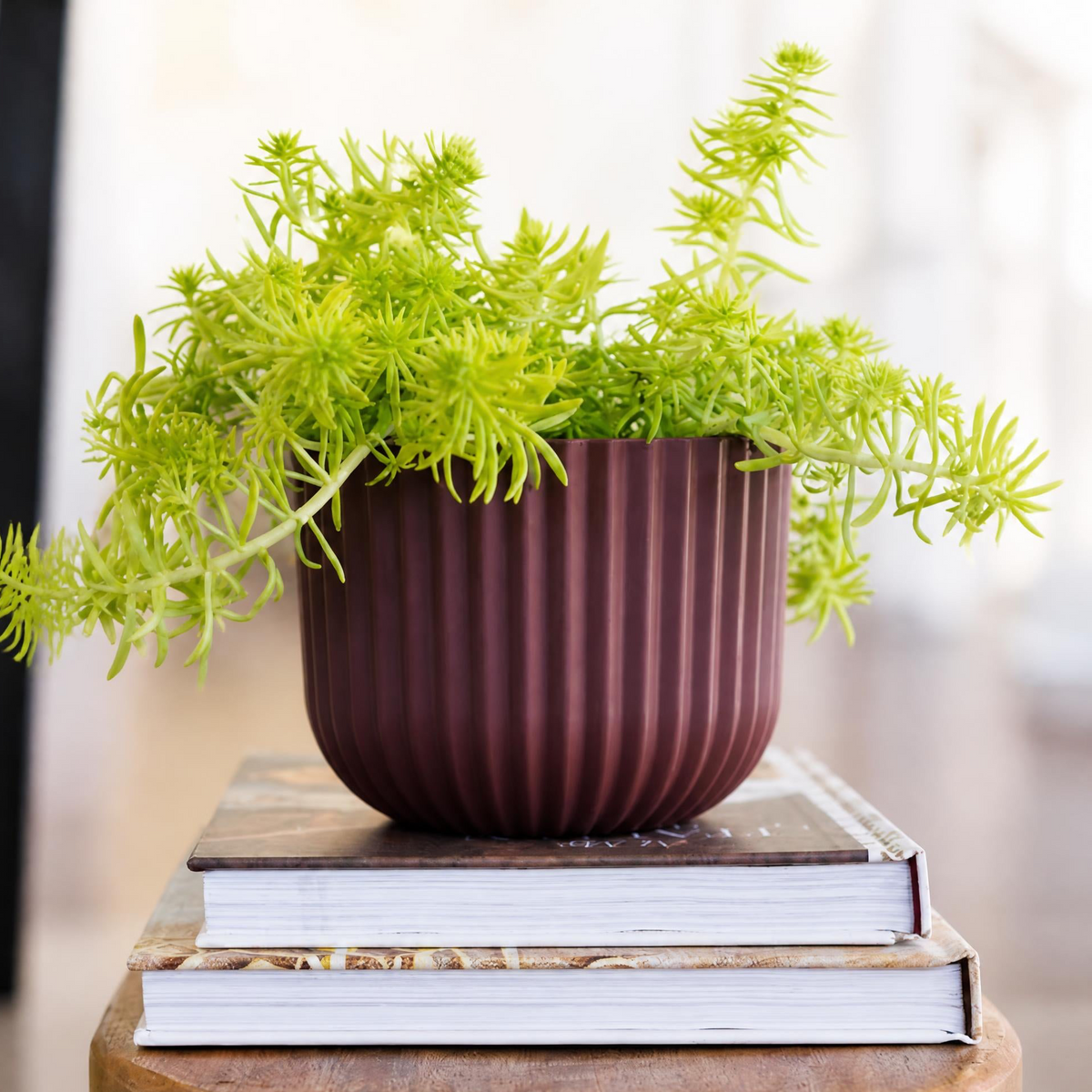 Planters