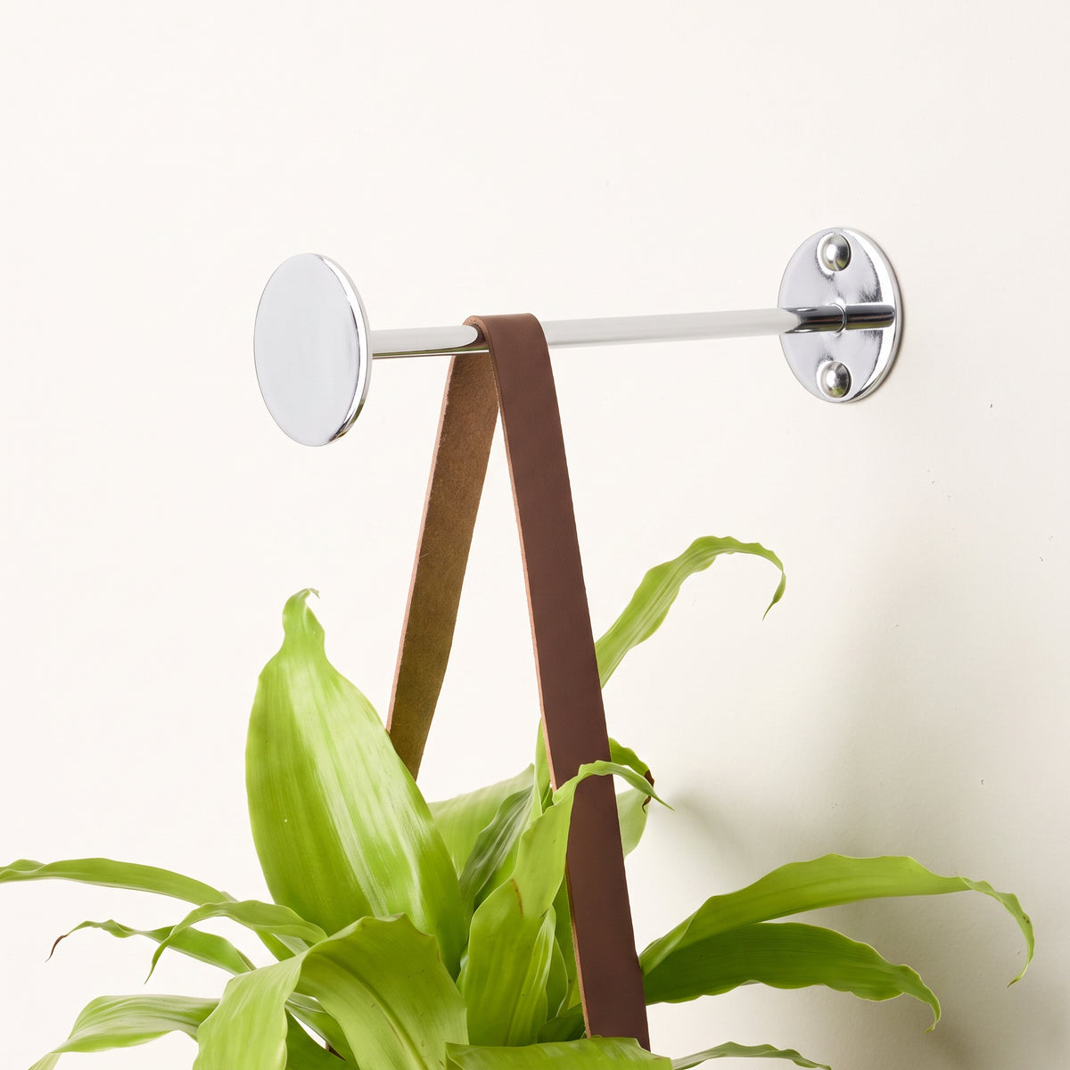 Revel Indoor Wall Hook