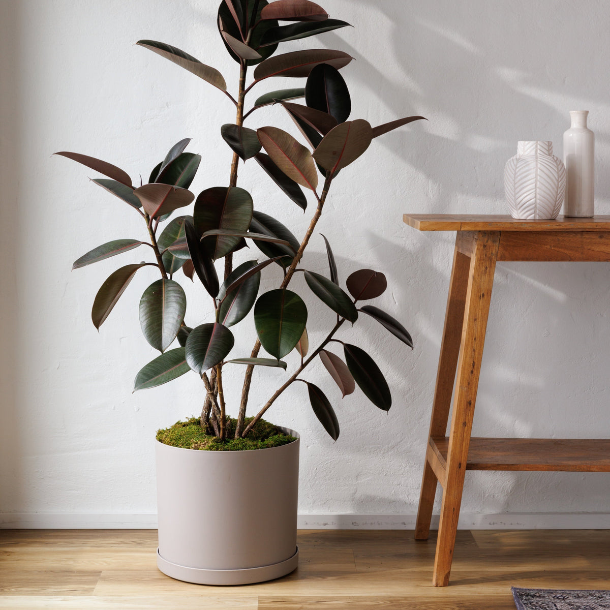 Mathers Planter