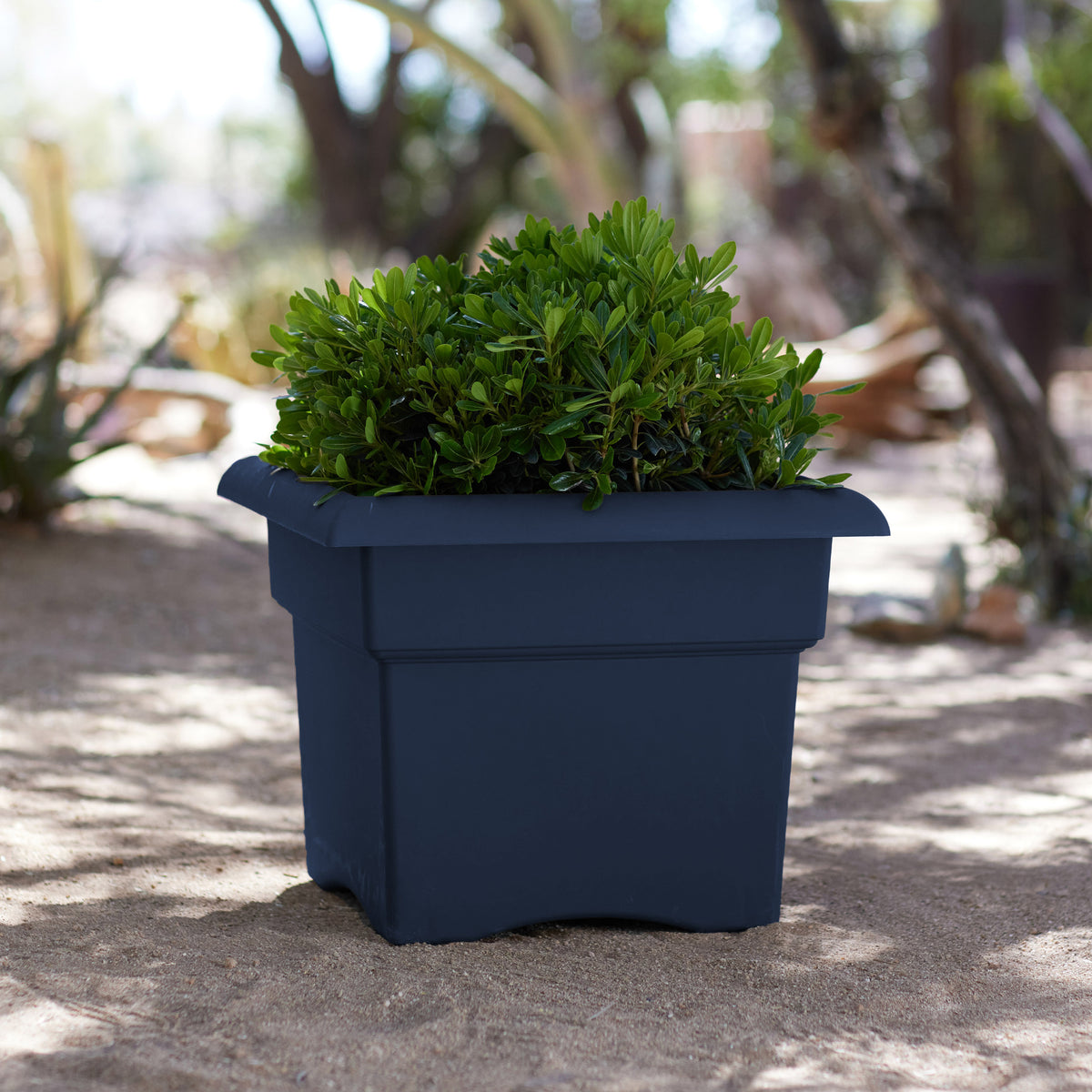 Veranda Deck Box Planter