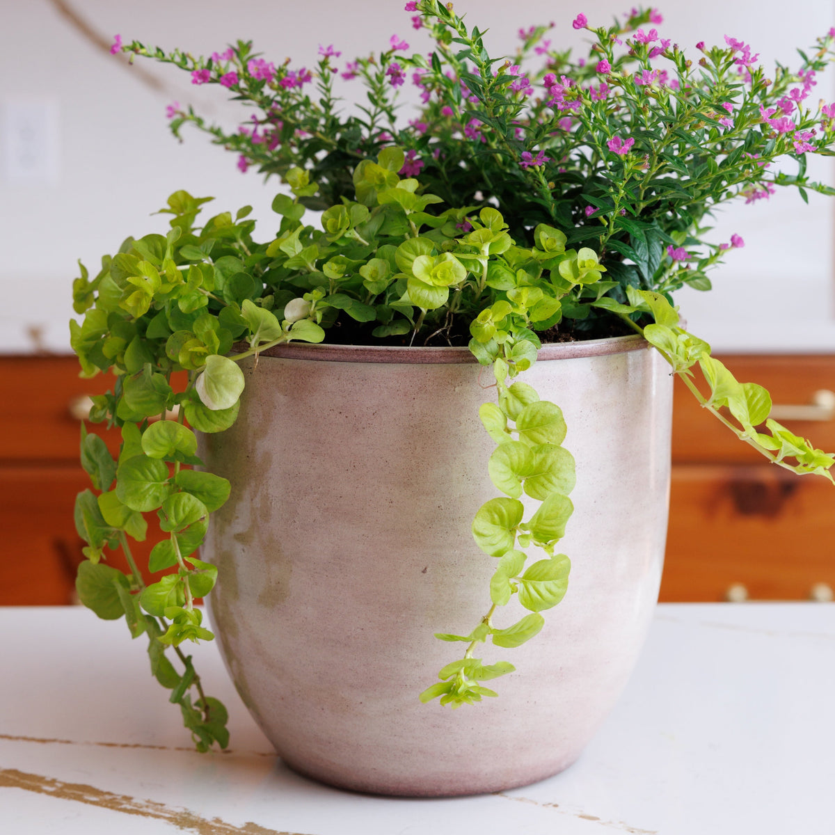 Canyon Planter