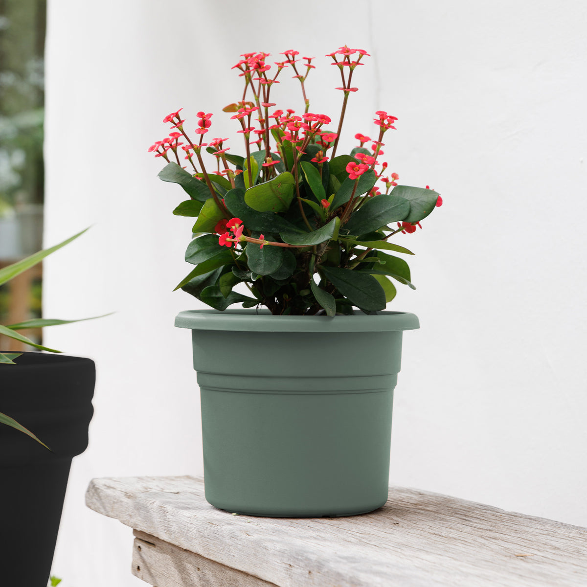Posy Planter