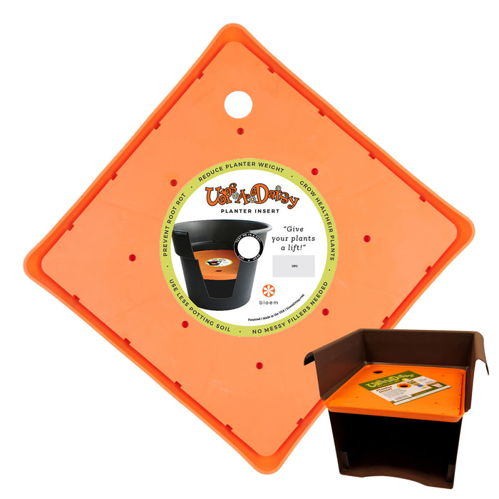 Ups-A-Daisy Planter Insert (Square) product photo