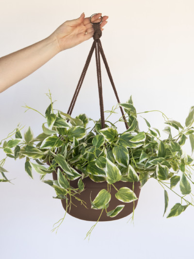 Plastic hanging basket with macramé cord.