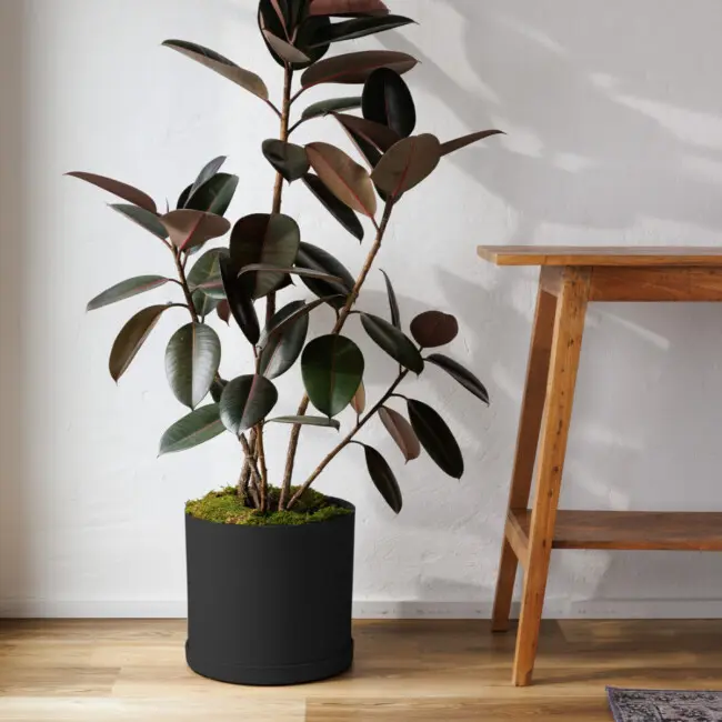 Mathers Drop-In Planter - Image 4