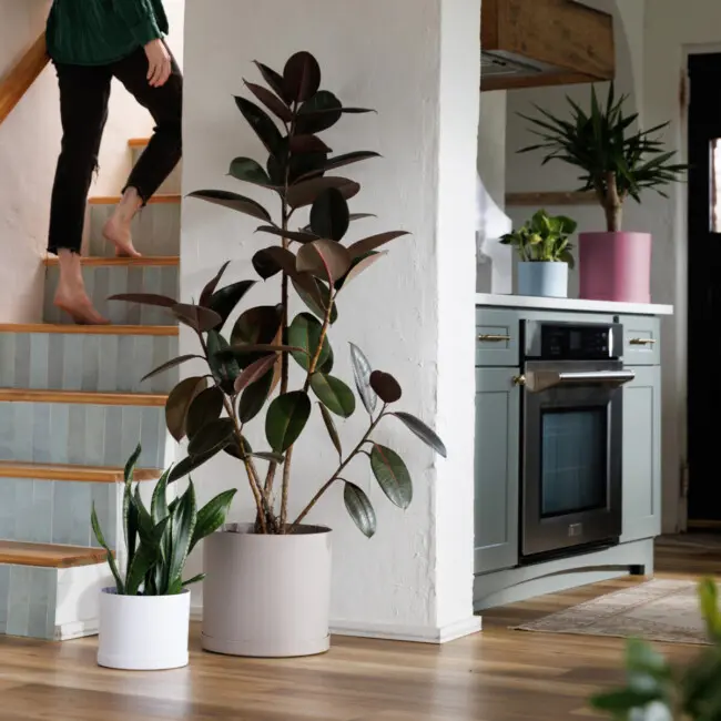 Mathers Drop-In Planter