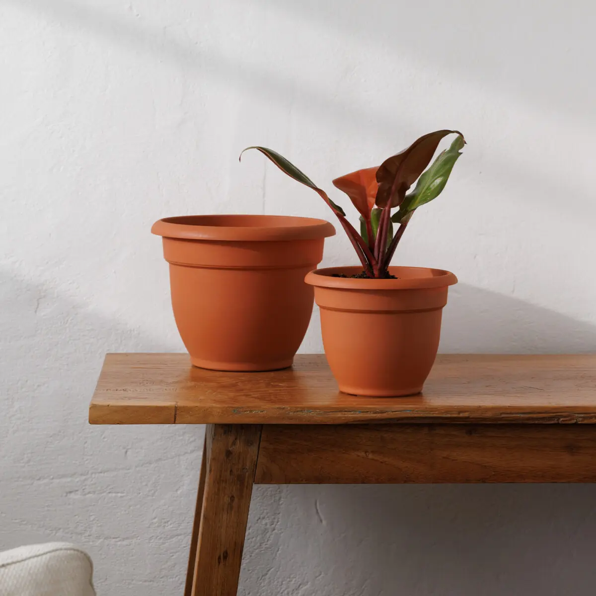 plant stand indoor nearby Walnut/Maple Hardwood Indoor Plant Stand 20 Height; 9 Platform