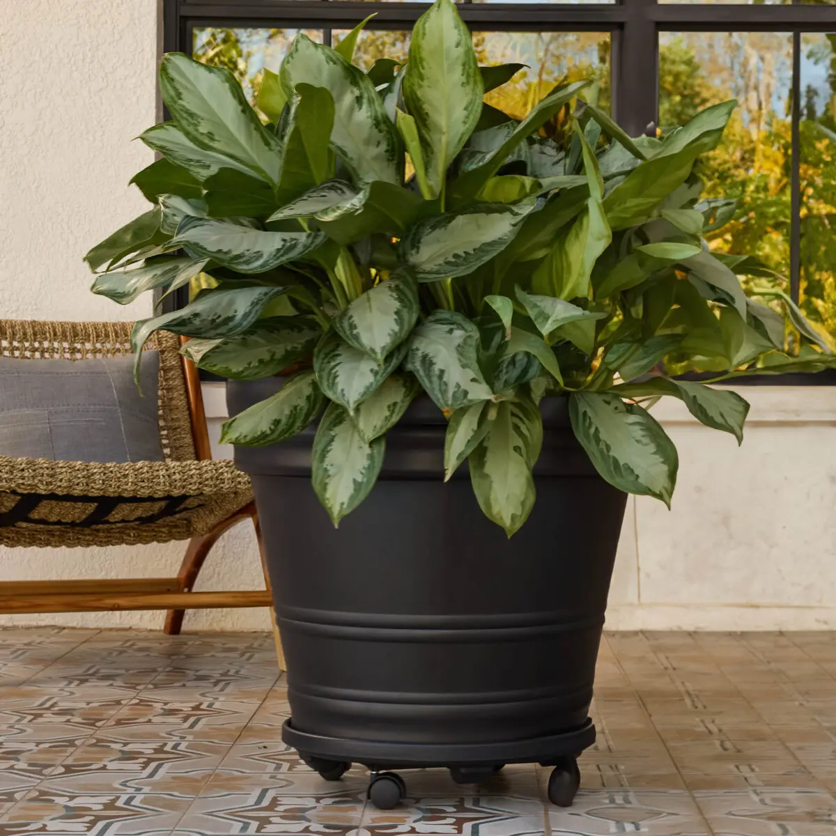 Plant Caddy - Bloem Living