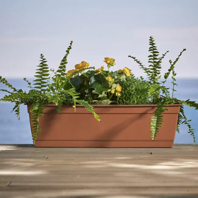 Dayton Window Box - Image 3