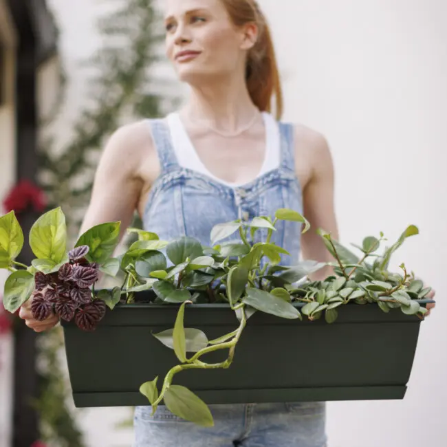 Dayton Window Box - Image 4