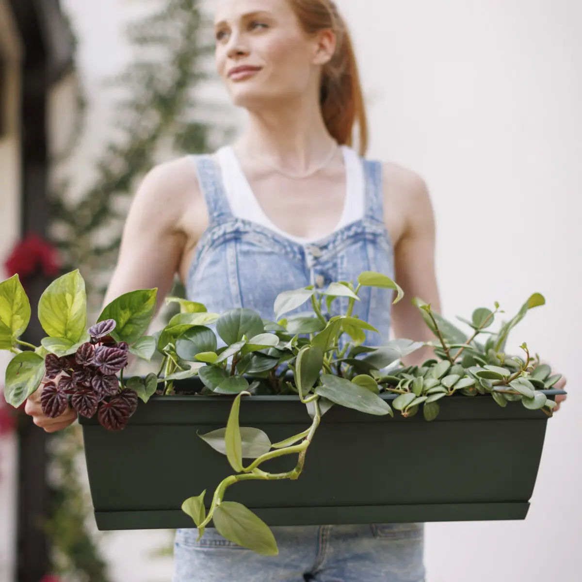 Dayton Window Box - Bloem Living