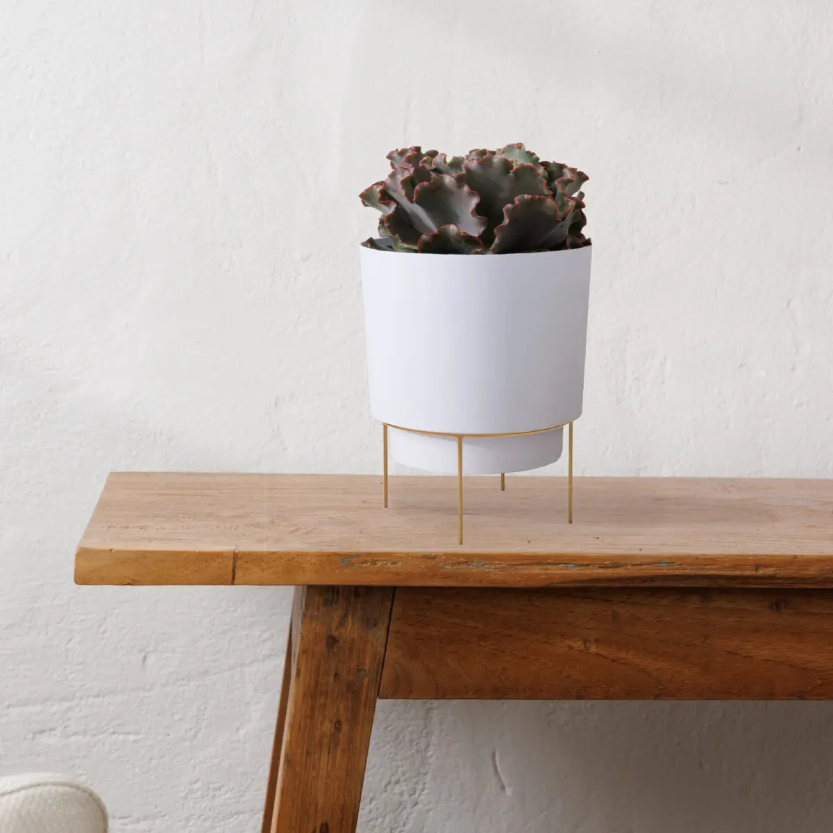 Hopson Planter - Bloem Living